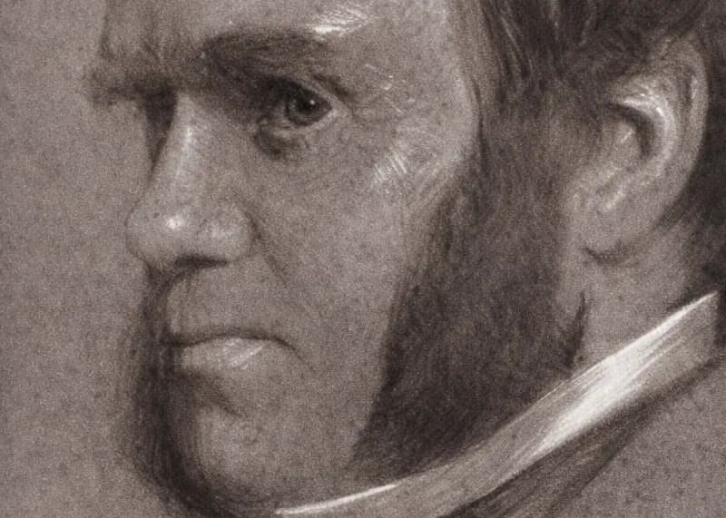 Sepia-toned portrait drawing of Charles Darwin in three-quarter profile, showing a middle-aged man with receding hairline, prominent brow, and sideburns