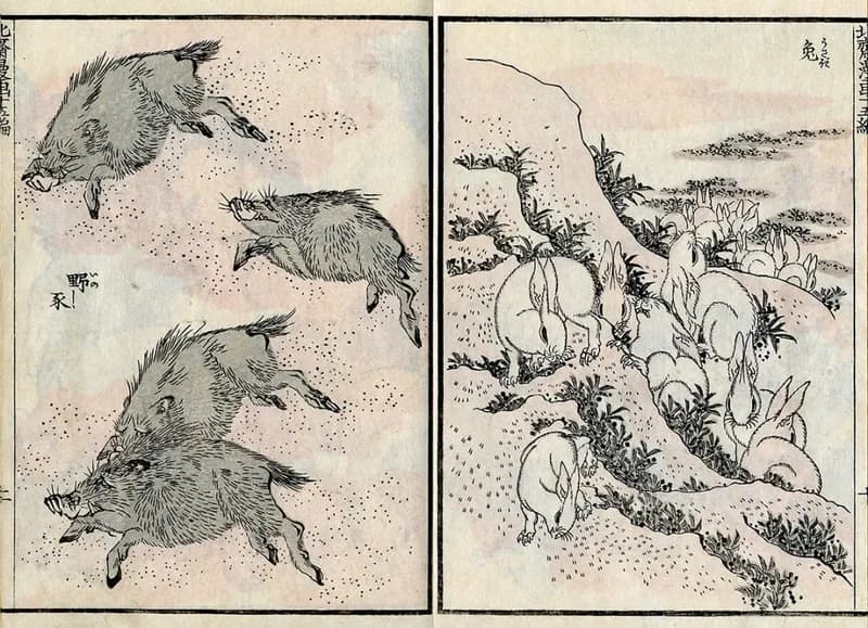 Katsushika Hokusai, Hokusai Manga