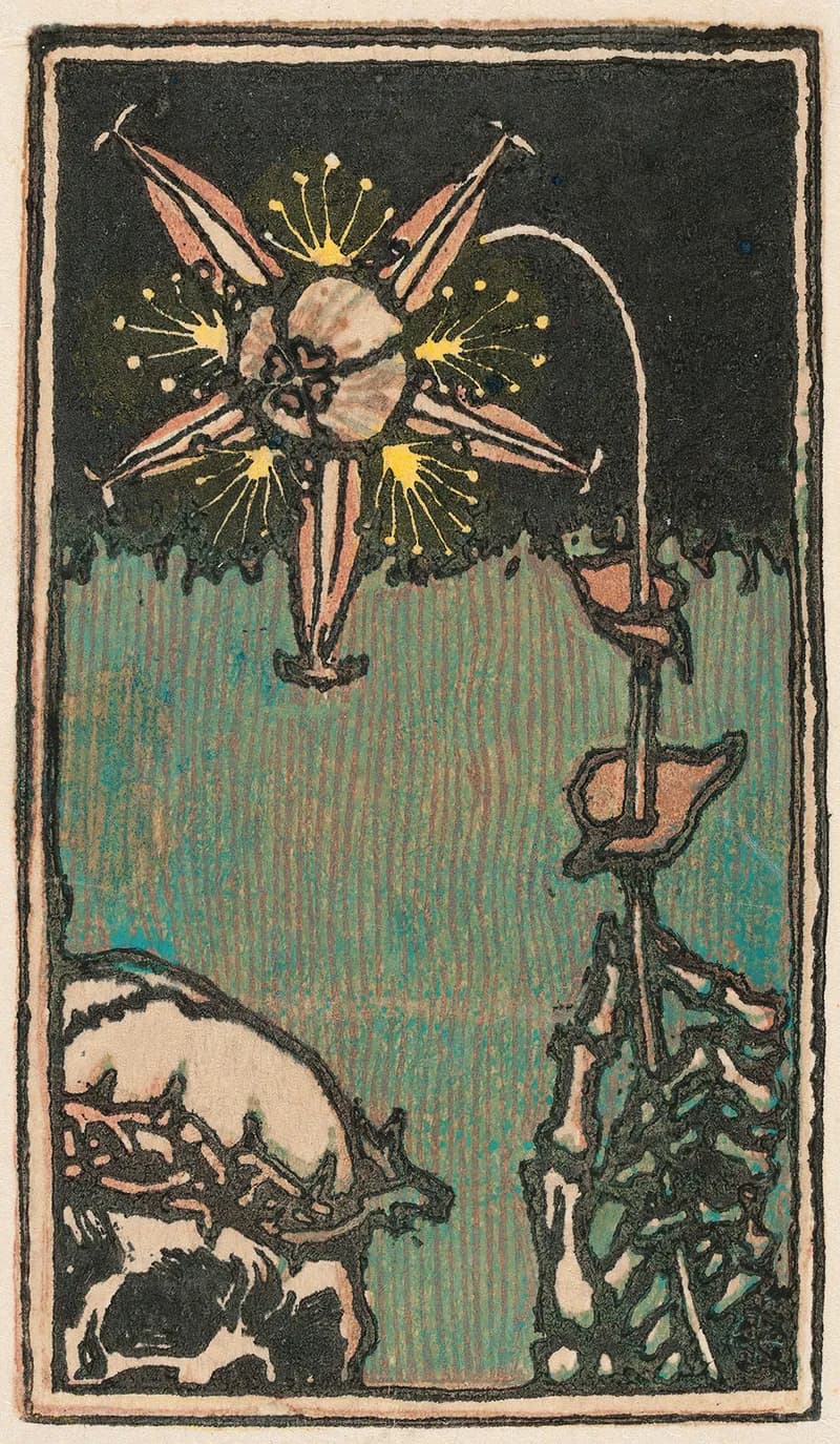 Woodcut illustration of a glowing star-shaped flower blooming from a human skull on dark ground, with bare branches