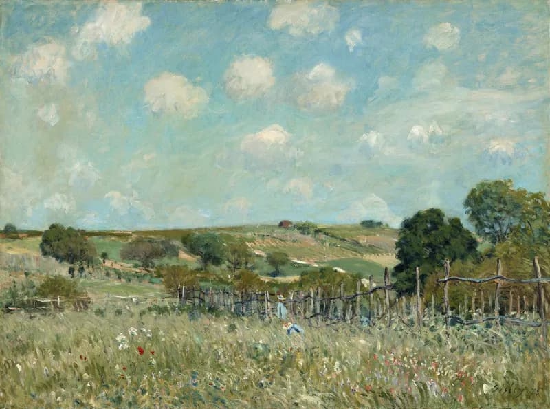 A meadow strewn with flowers in a bucolic landscape.