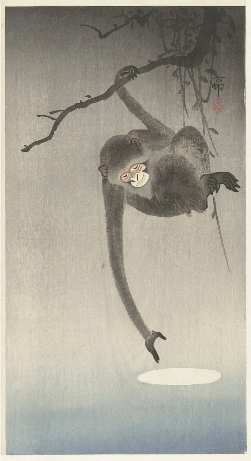 Monkey hanging from a branch reaching down toward the moon's reflection in water below