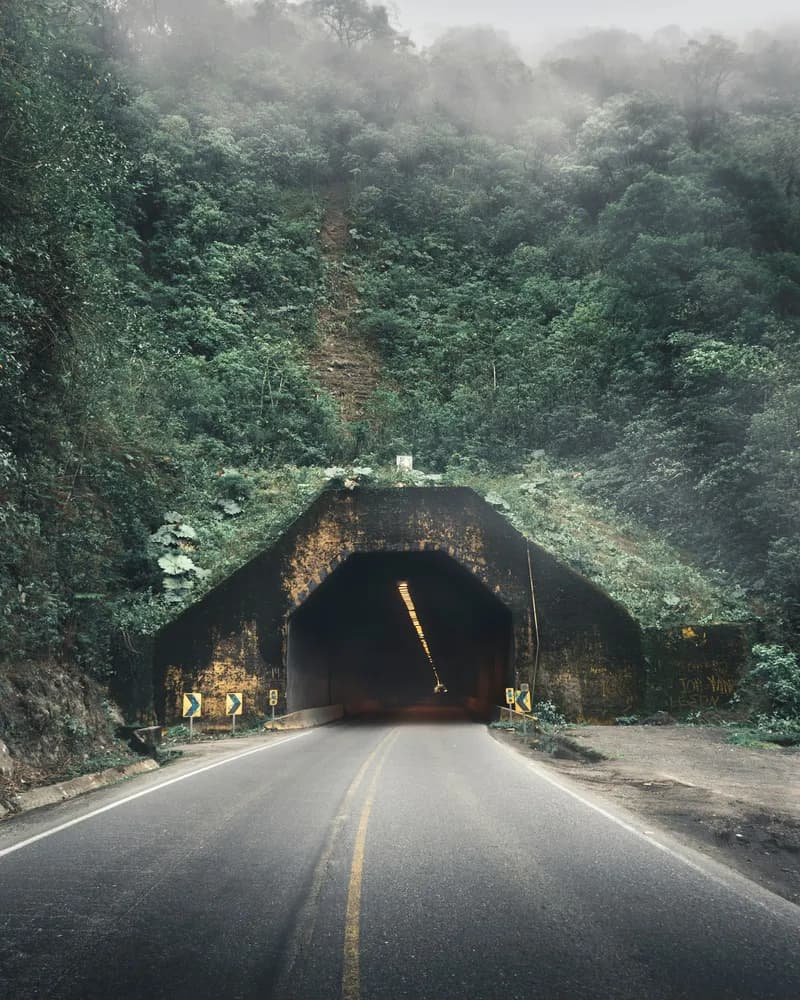 The entrance of a dark concrete tunnel in a verdant mountainside.