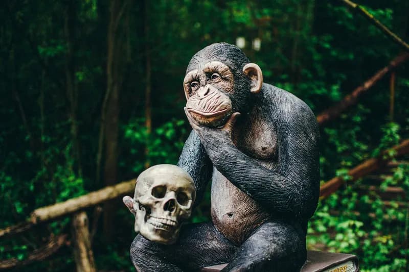 Contemplative chimpanzee statue holding a human skull, reminiscent of Hamlet's 'Alas, poor Yorick' scene