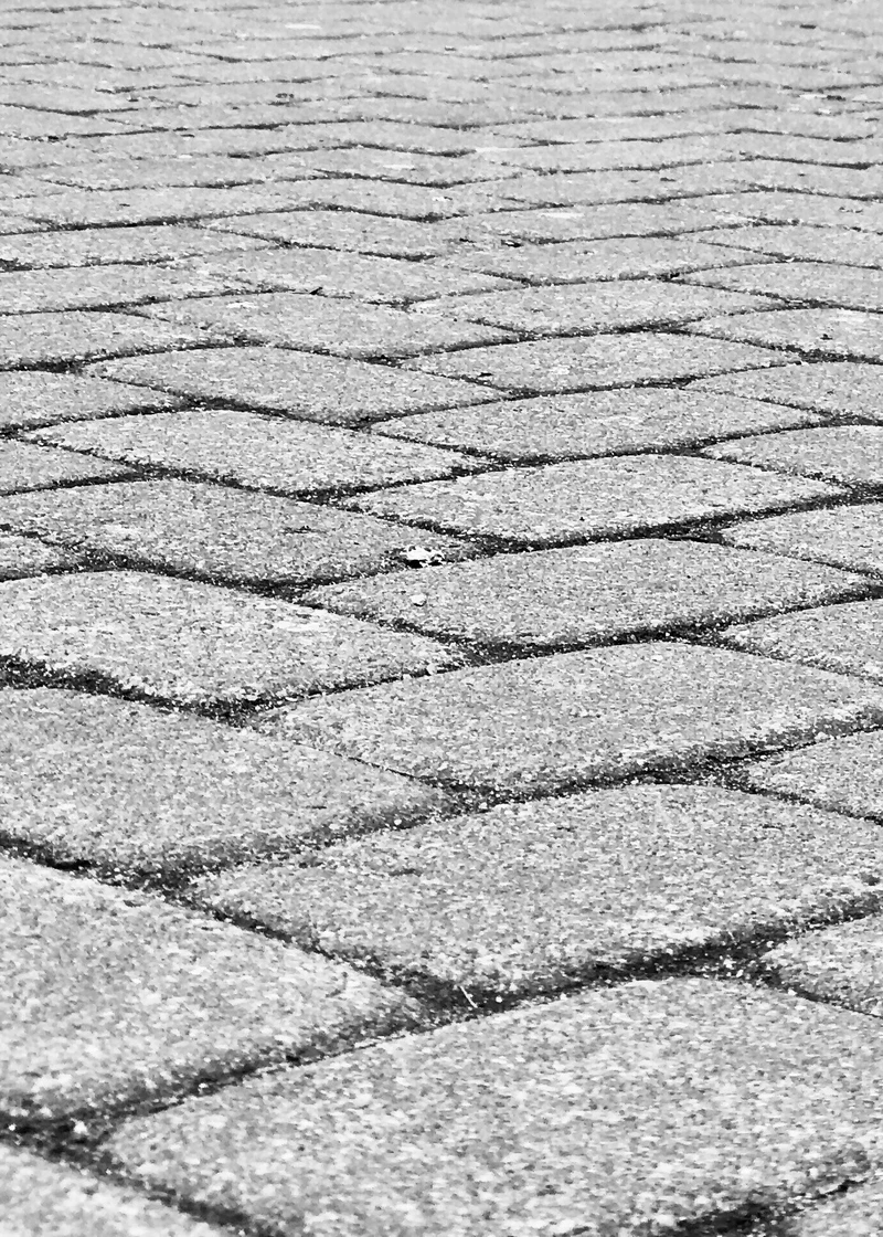 a black and white photo of a brick walkway