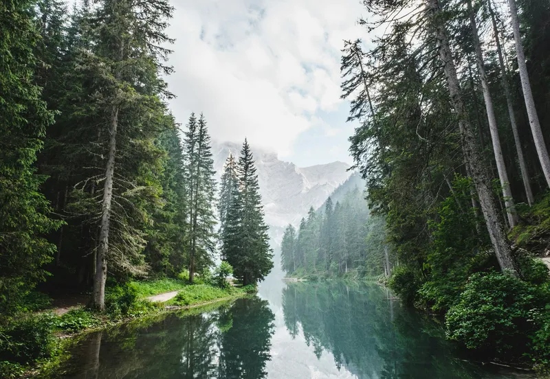 Picture of a tranquil lake nestled between two thickly forested shores. Majestic mountains are in the background.