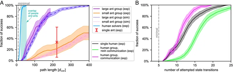 Two performance charts: left shows success rate versus path length with ant groups outperforming humans and single ants; right shows success rate versus number of attempts with similar performance patterns across all solver types