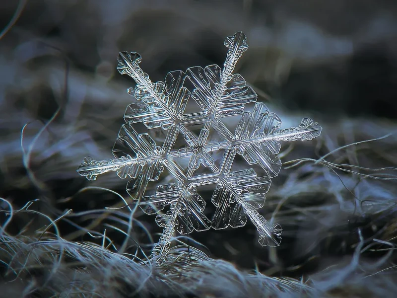 (Source: Alexey Kljatov, CC BY 2.0).