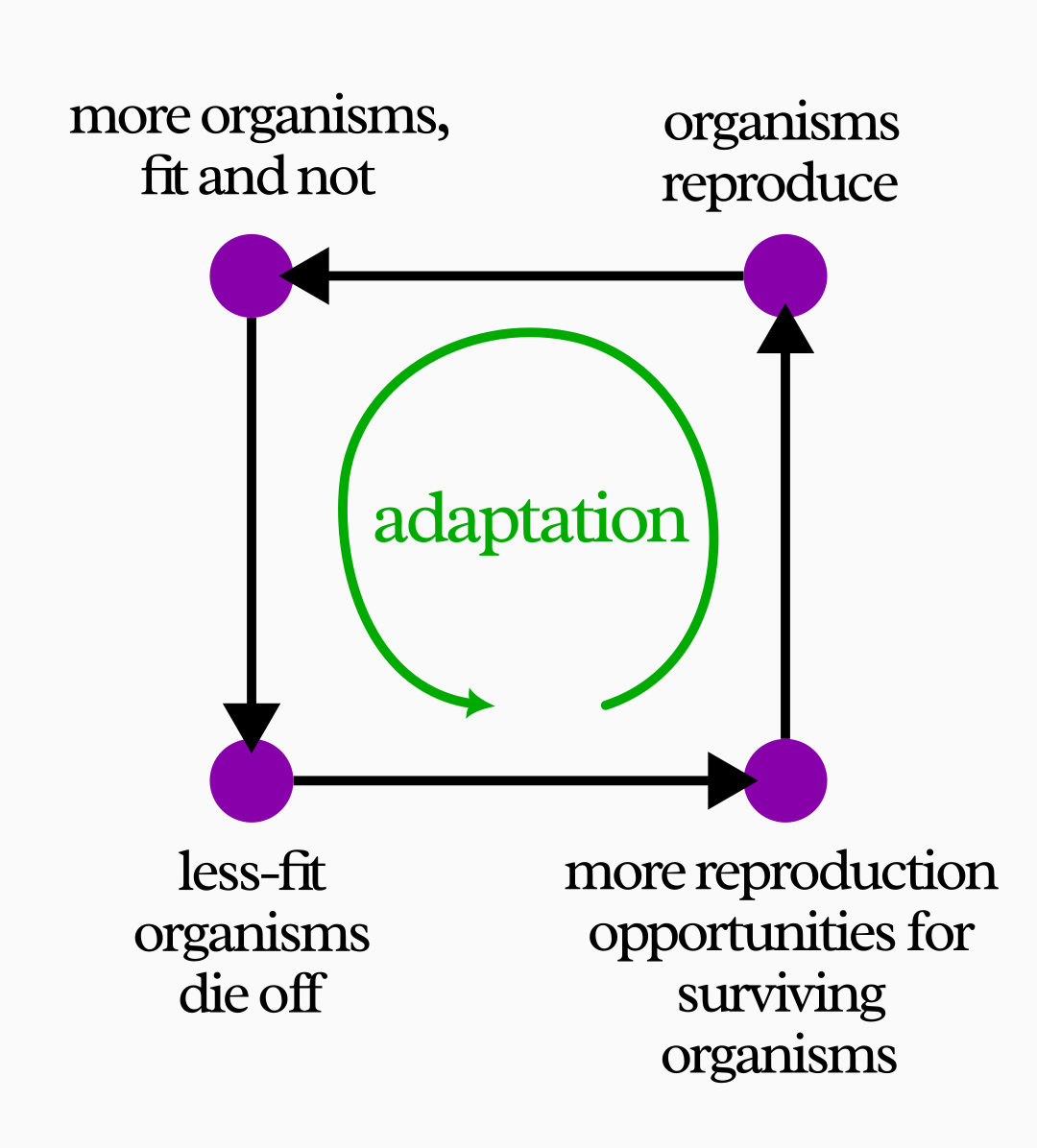 A simple substitution of terms in the previous diagram yields a very simplified description of natural selection.