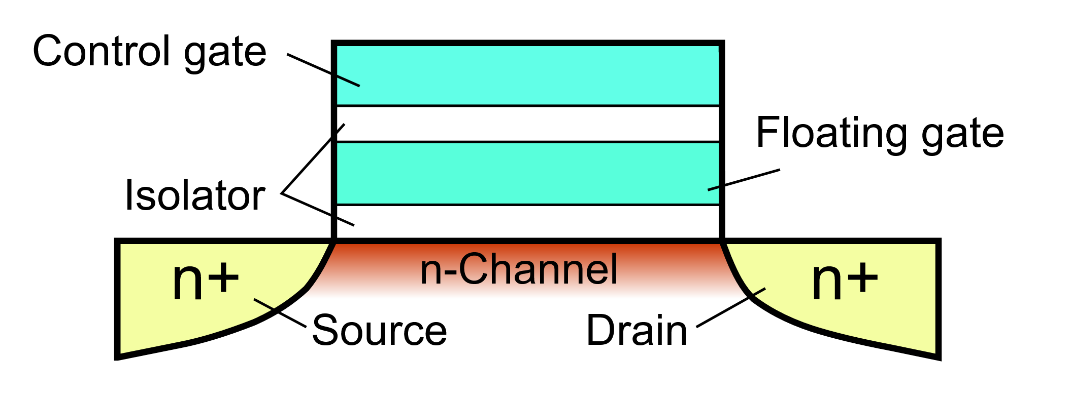 (Source: Wikimedia)